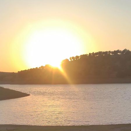 Nova Quinta Moderna Torramo Em Oliveiras, Campo De Laranjas, Na Nacional 2, Alentejo 13750 M2 Villa Torrão Eksteriør billede