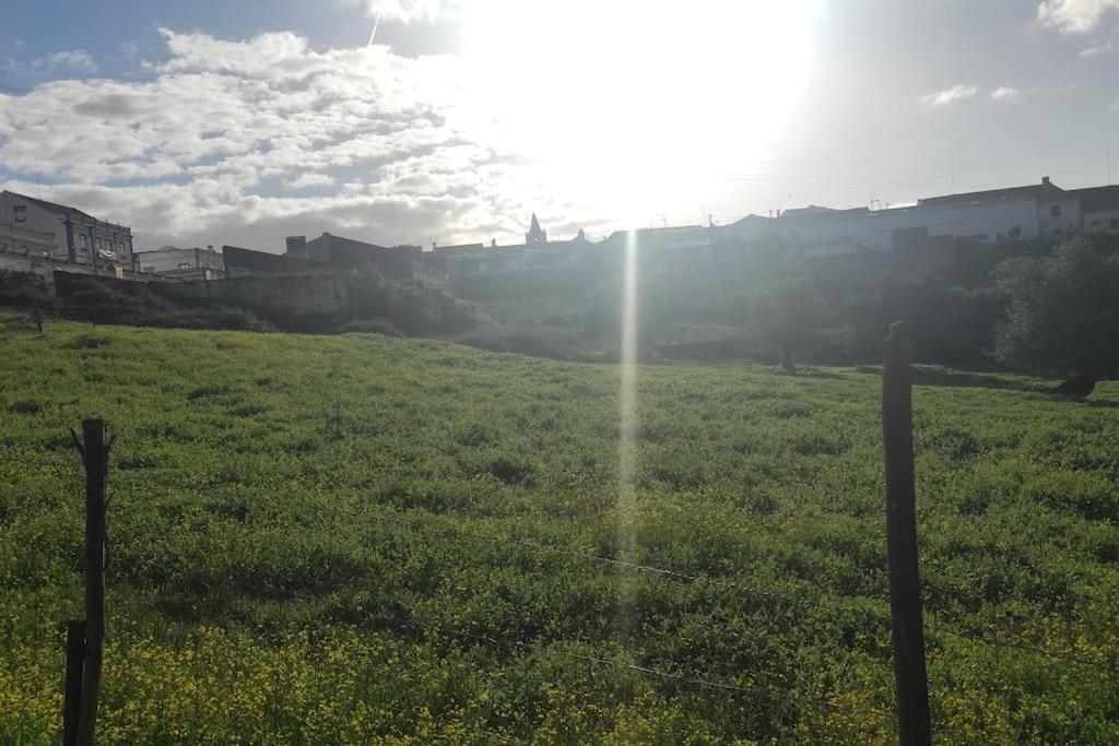 Nova Quinta Moderna Torramo Em Oliveiras, Campo De Laranjas, Na Nacional 2, Alentejo 13750 M2 Villa Torrão Eksteriør billede
