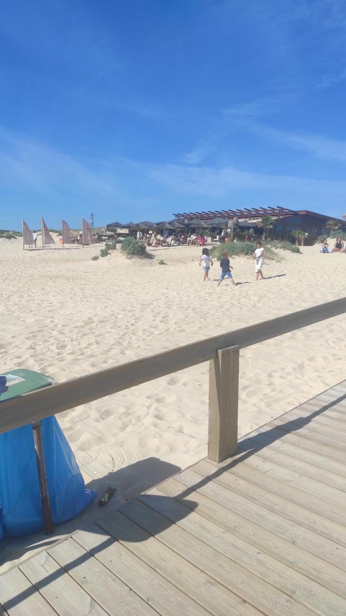 Nova Quinta Moderna Torramo Em Oliveiras, Campo De Laranjas, Na Nacional 2, Alentejo 13750 M2 Villa Torrão Værelse billede