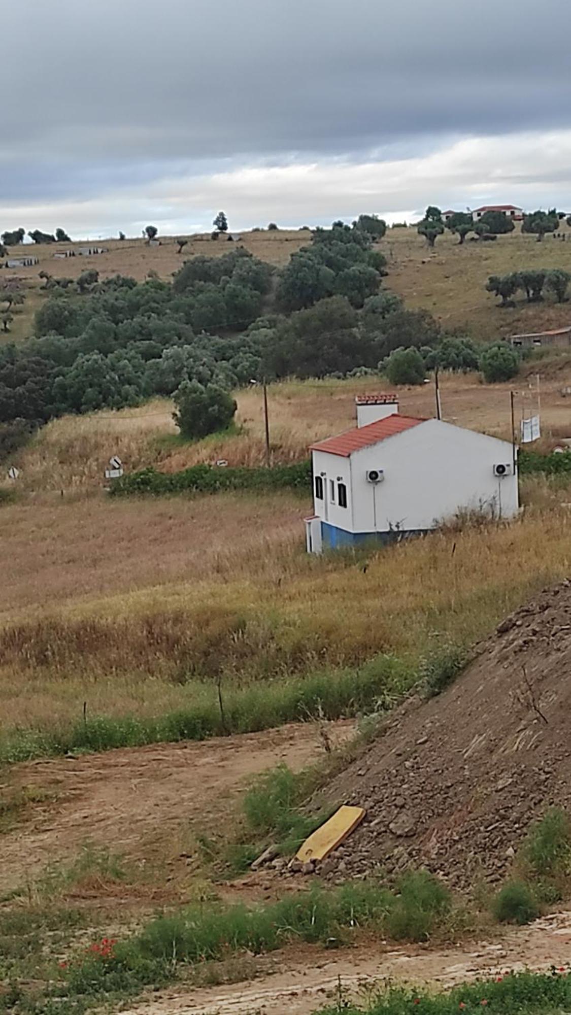 Nova Quinta Moderna Torramo Em Oliveiras, Campo De Laranjas, Na Nacional 2, Alentejo 13750 M2 Villa Torrão Eksteriør billede