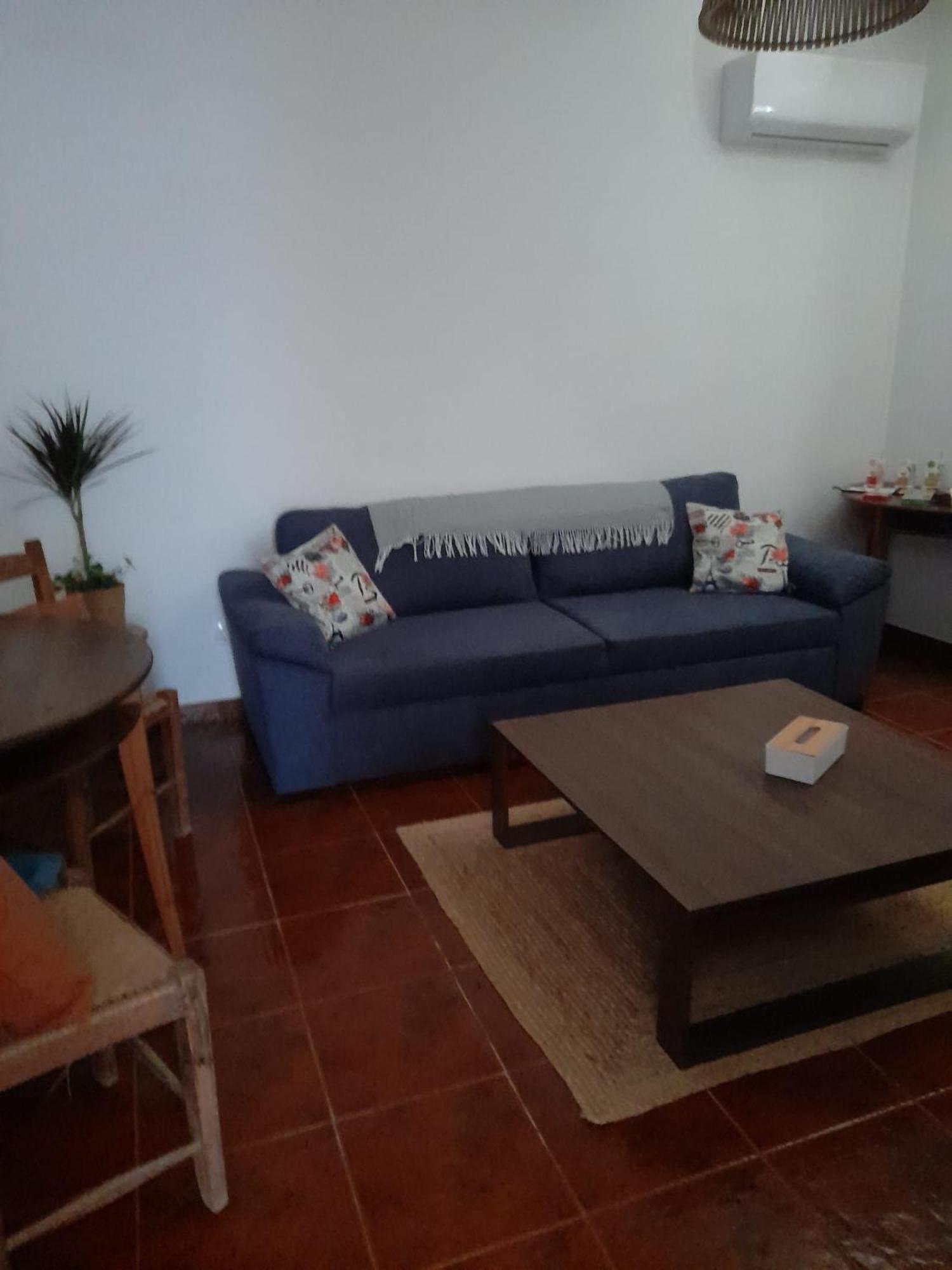 Nova Quinta Moderna Torramo Em Oliveiras, Campo De Laranjas, Na Nacional 2, Alentejo 13750 M2 Villa Torrão Eksteriør billede
