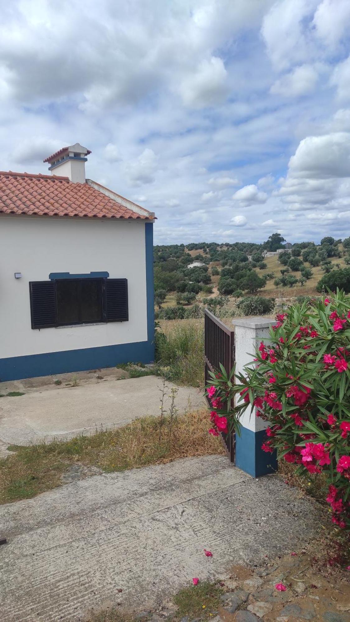 Nova Quinta Moderna Torramo Em Oliveiras, Campo De Laranjas, Na Nacional 2, Alentejo 13750 M2 Villa Torrão Eksteriør billede
