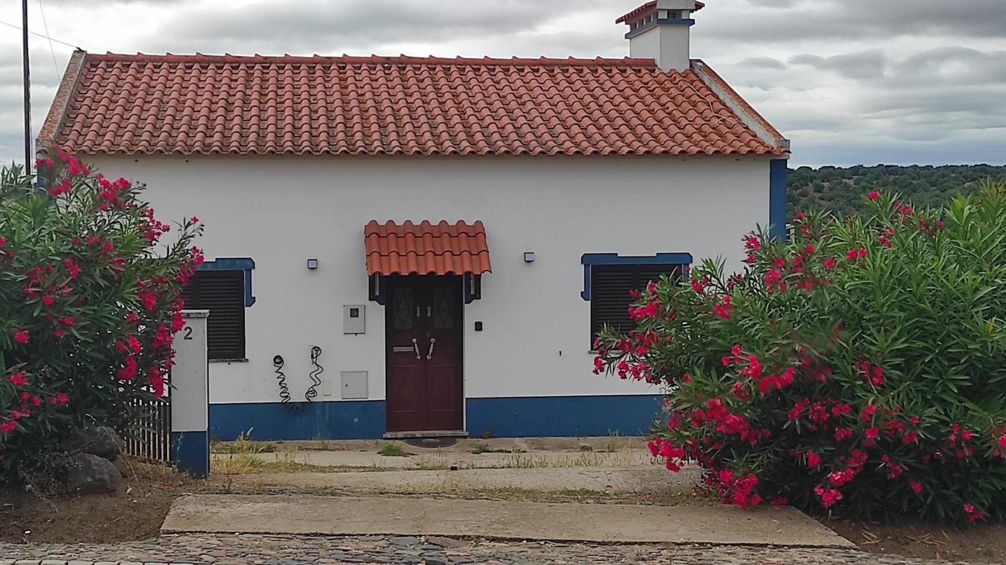 Nova Quinta Moderna Torramo Em Oliveiras, Campo De Laranjas, Na Nacional 2, Alentejo 13750 M2 Villa Torrão Eksteriør billede
